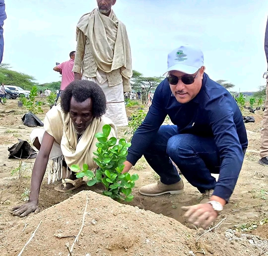 Green Legacy planting