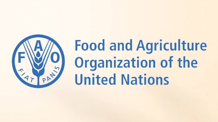 FAO Ethiopia