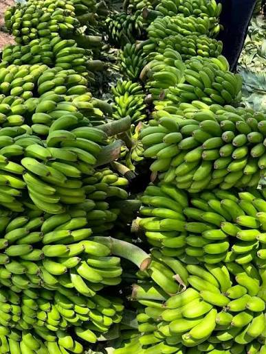 Banana Development
