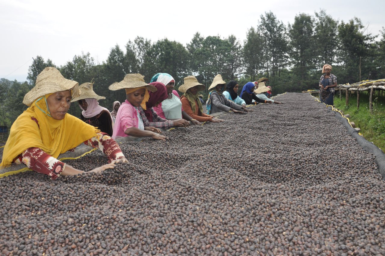 Rural Productive Safety Net Program (RPSNP)